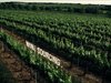 Grands Chais de France - video